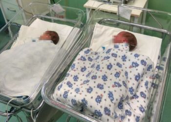 За сутки в Краснодаре на свет появились три двойни