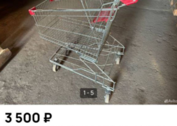 Новый вид малого бизнеса успешно развивается в Краснодаре