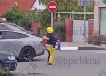 В Геленджике блогера, решившую стать регулировщиком, приставили к стенке