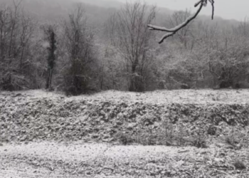 В нескольких районах Кубани выпал снег, а в Краснодар прилетел пеликан