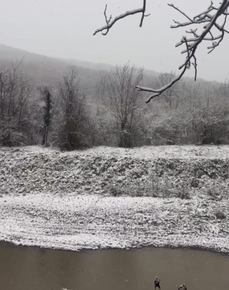 В нескольких районах Кубани выпал снег, а в Краснодар прилетел пеликан