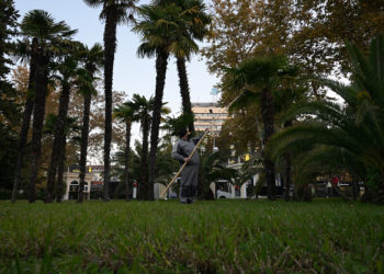 В Сочи завершается обработка растений против вредителей на 2024 год