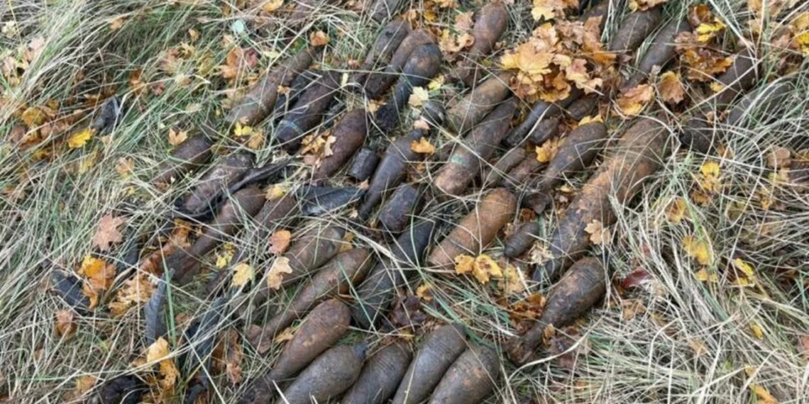 В Краснодарском крае уничтожили 71 боеприпас
