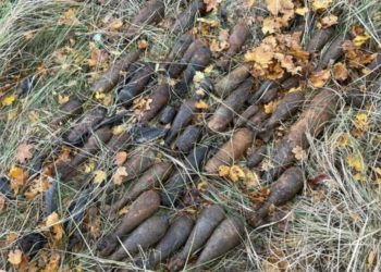 В Краснодарском крае уничтожили 71 боеприпас