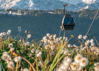 «Роза Хутор» поддержал конкурс «Зеленый туризм в городе-курорте Сочи» для школьников