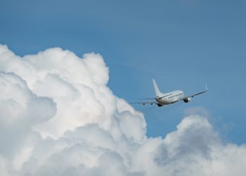 Пассажиры рейса Сочи-Петербург подали иск о компенсации вреда из-за каши с курагой