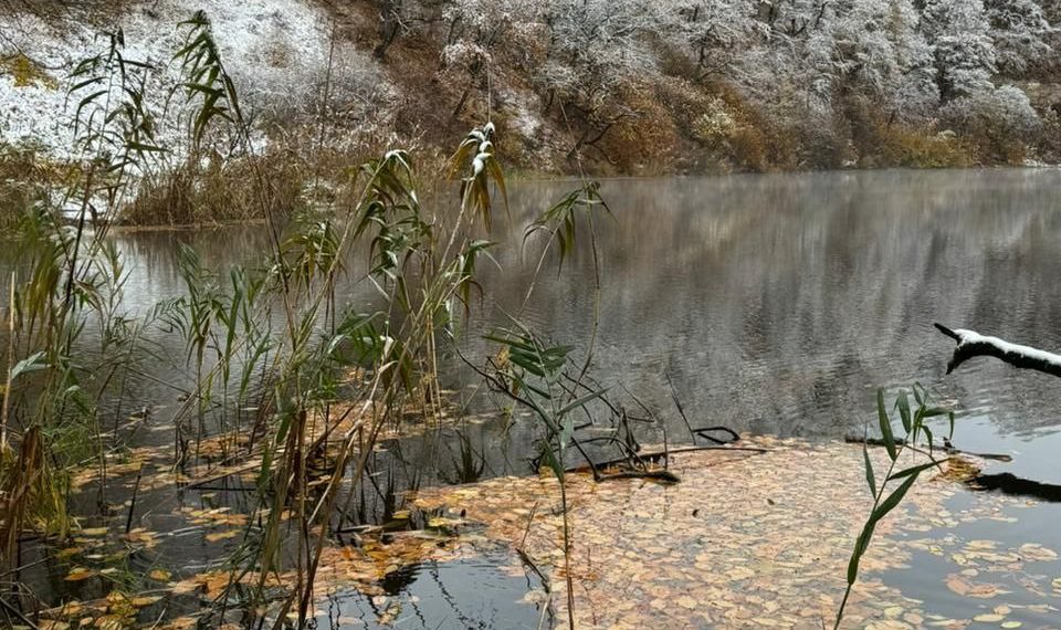 Деревья покроются «серебром» в среду 6 ноября в Краснодарском крае