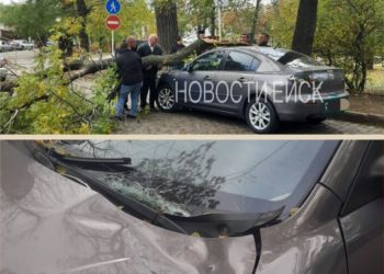 В Ейске сильный ветер валит деревья