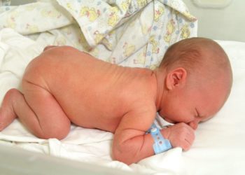 За сутки на Кубани три двойни появились на свет