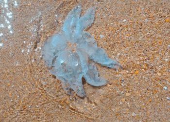 В воскресенье 3 ноября погода покажет жителям Кубани «кузькину мать»