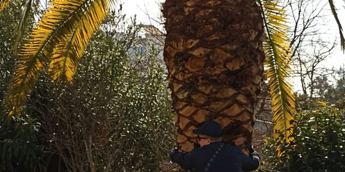 Метеорологи сбили с толку прогнозом на понедельник 18 ноября на Кубани