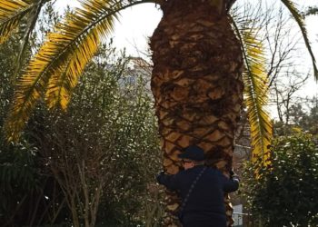 Метеорологи сбили с толку прогнозом на понедельник 18 ноября на Кубани