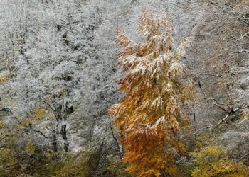 Погода подарит снежный подарок жителям Краснодарского края во вторник 5 ноября