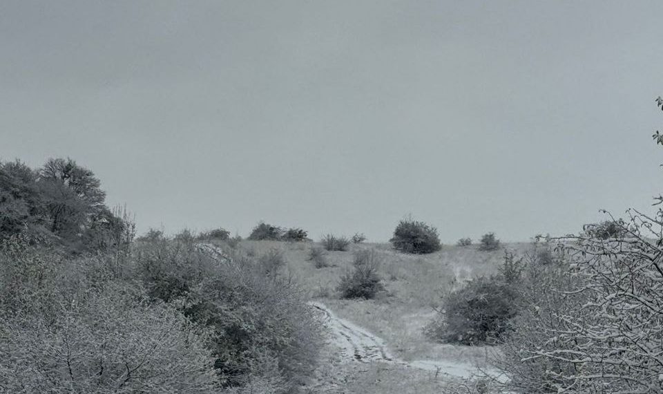 Синоптики рассказали о необычной погоде в День народного единства на Кубани