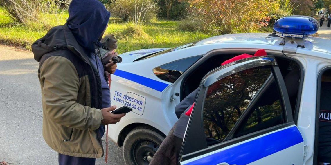 В Сочи полицейские изъяли двух сов, трех обезьян и 64 килограмма фруктов