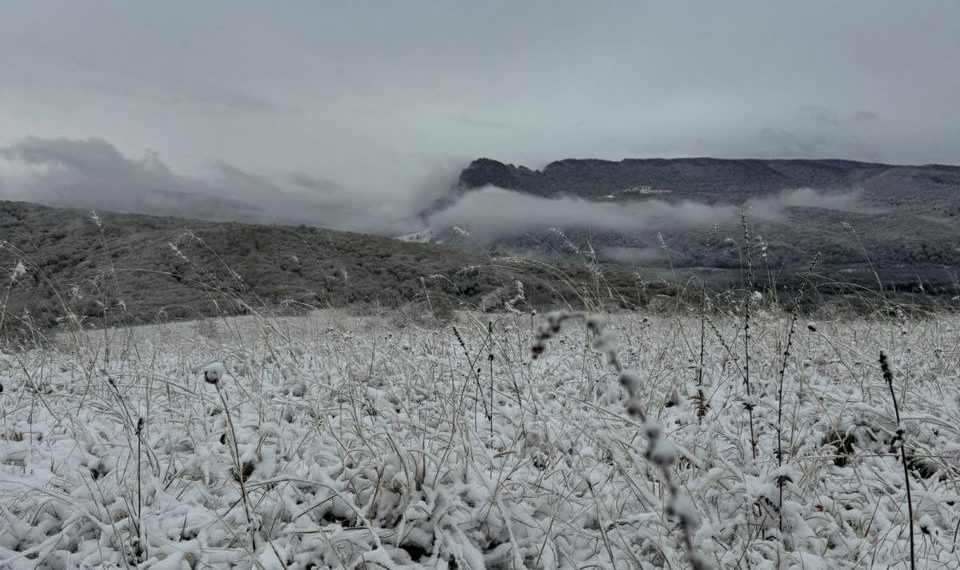 Сильный ветер и снежные заносы: на Кубани с 24 по 27 ноября ухудшится погода