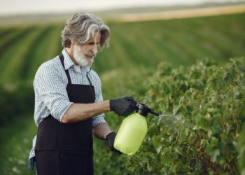 Стало известно, какое место занял Краснодарский край по использованию пестицидов