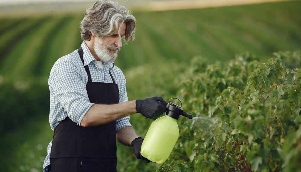 Стало известно, какое место занял Краснодарский край по использованию пестицидов