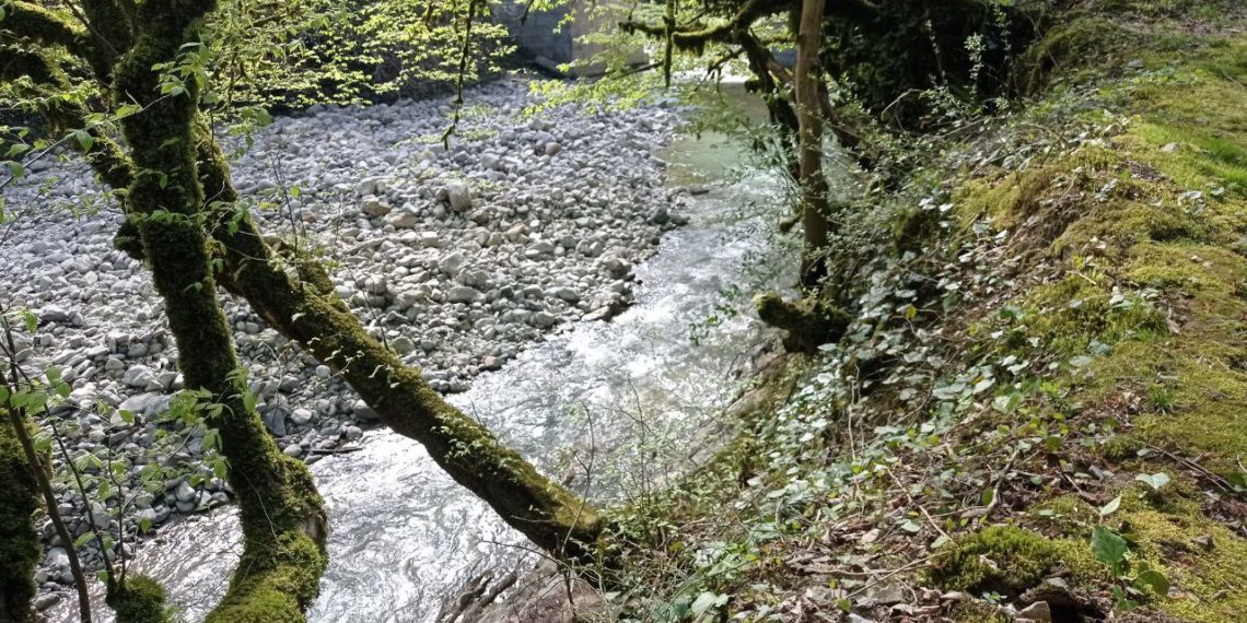 Ливни и грозы: синоптики рассказали о начале ноября в Краснодарском крае