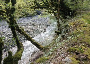 Ливни и грозы: синоптики рассказали о начале ноября в Краснодарском крае