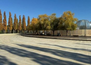 В парке «Краснодар» приступили к установке светящихся лотосов