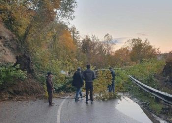 В Сочи дерево обрушилось на сельскую дорогу