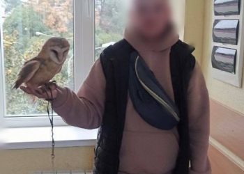 В Адлере задержали живодера-фотографа с совой