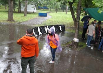 Полиция рассказала, где провел ночь пропавший в Краснодаре 9-летний мальчик