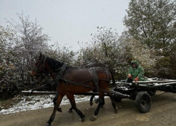 Погода преподнесет сюрприз 5 и 6 ноября 2024 года в Краснодарском крае