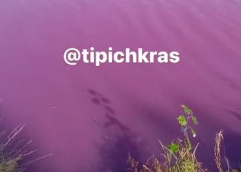 В Краснодаре река Кубань стала сиреневого цвета