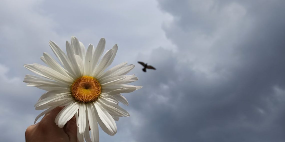 Прогноз погоды на неделю с 25 ноября по 1 декабря 2024 года в Краснодарском крае