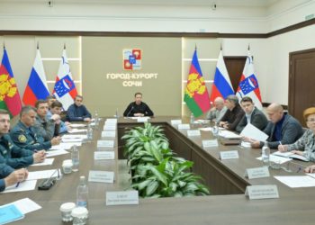 Прошунин поручил усилить санитарную уборку улиц от опавшей листвы