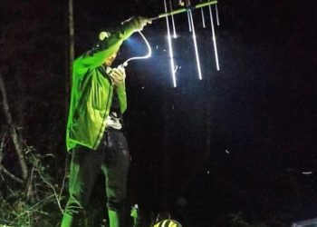 На Кубани прекратили поиски ребенка, не вернувшегося с прогулки