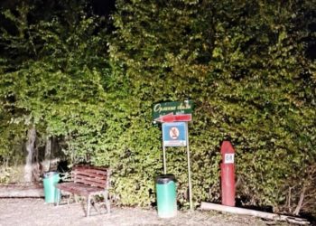 В Сочи спасли туриста из Тюмени на столбе из-за страха перед шакалами