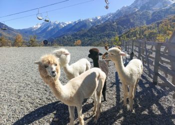 Затишье перед бурей: прогноз погоды на субботу 23 ноября в Краснодарском крае