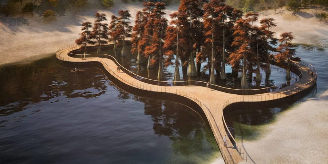 Кипарисовую рощу в Сукко предложили спасти с помощью пешеходного моста