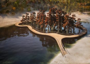 Кипарисовую рощу в Сукко предложили спасти с помощью пешеходного моста