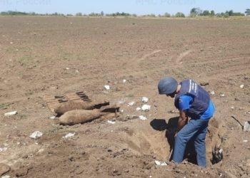 В Темрюкском районе Кубани из-за бомбы эвакуируют 1800 человек