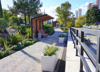 Набережную реки Псахе привели в порядок в Сочи