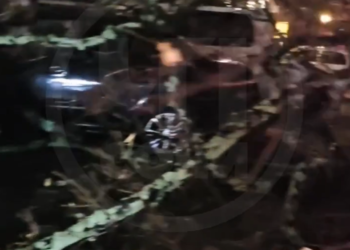 В Сочи упавшее во дворе дома дерево повредило около 8 автомобилей