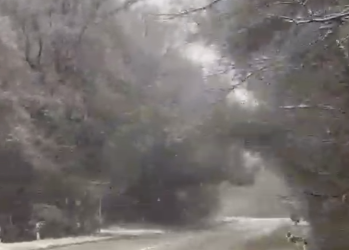 Метеорологи рассказали о неожиданном завершении декабря в Краснодарском крае