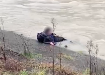 В Сочи купающийся в ледяной реке школьник попал на видео