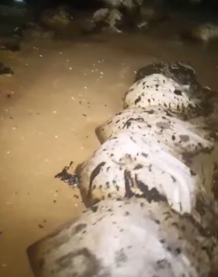 В Анапе волны пытаются утащить в море собранные волонтерами мешки с мазутом