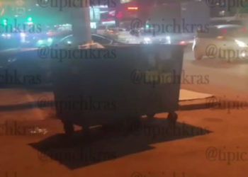 В Краснодаре нашли трупы собак с бутылкой в заднем проходе