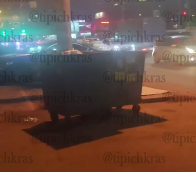 В Краснодаре нашли трупы собак с бутылкой в заднем проходе