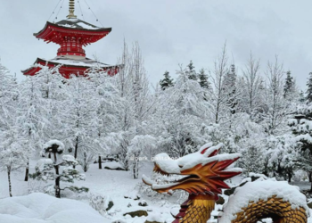 Новый год к нам мчится: в Краснодаре Японский сад изменит режим работы