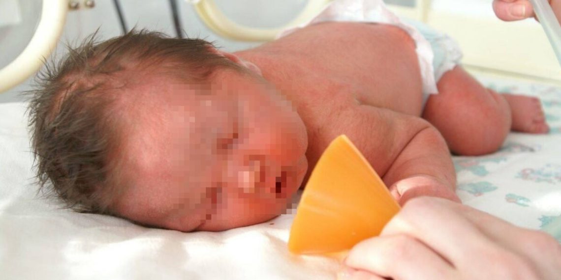 Три великолепные двойни родились за сутки в Краснодарском крае