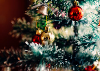 Краснодарцы разбирают елки из мусорных баков