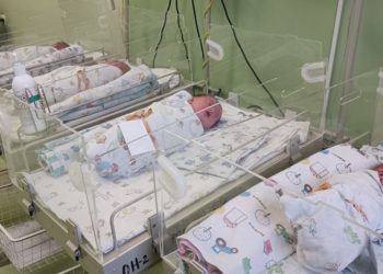 В Краснодарском крае за сутки на свет появились 2 двойни 