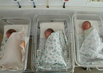 На Кубани за сутки родился 101 малыш